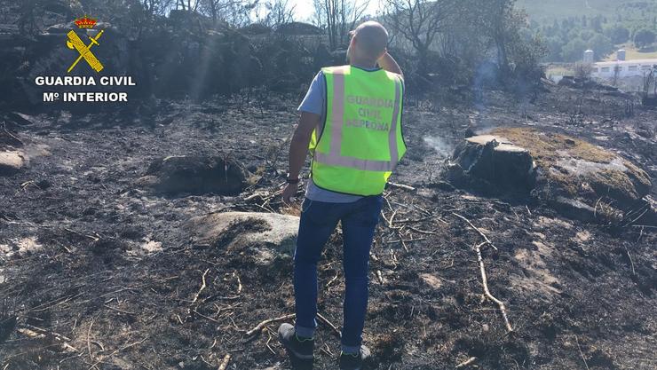 Un axente do Seprona da Garda Civil observa os restos dun incendio forestal 