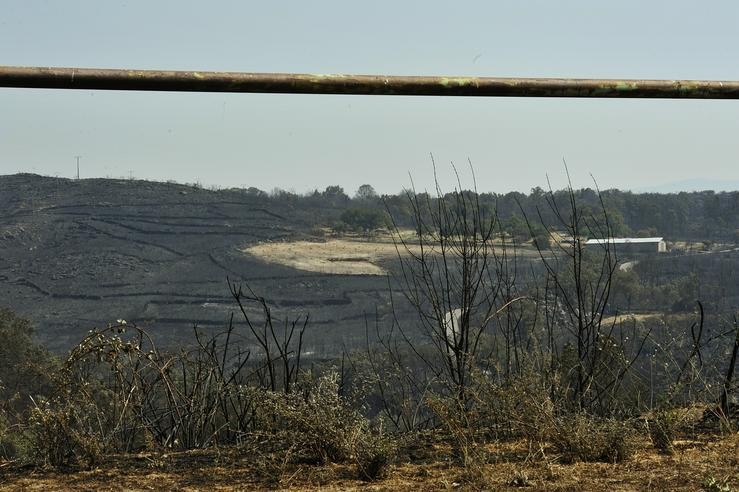 Zona queimada polo incendio de Cualedro (Ourense).. Rosa Veiga - Europa Press 