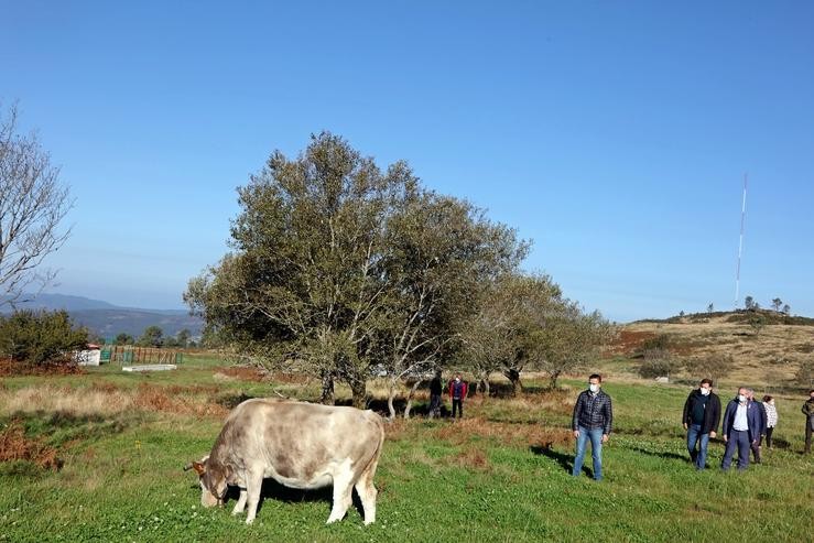 O conselleiro de Medio Rural, José González, nunha visita a Cerdedo-Cotobade. XUNTA 