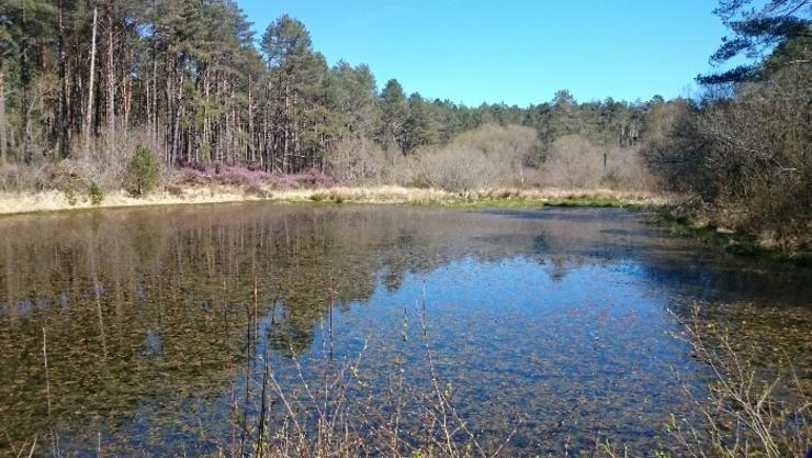 Lagoa Grade no Monte Grande