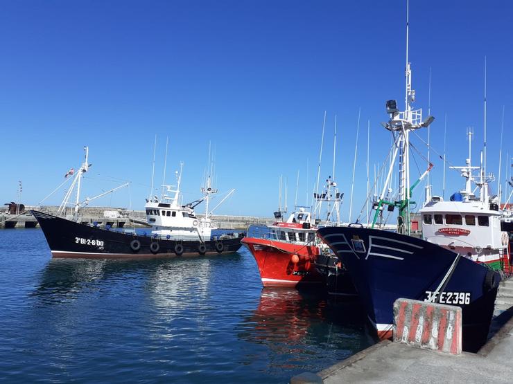 Barcos pesqueiros no porto de Bermeo (Bizkaia)