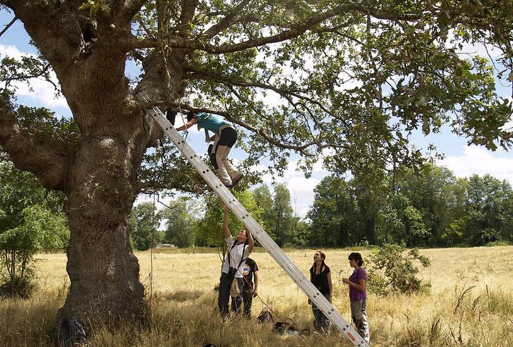 A Asociación Galega de Custodia do Territorio traballando nas Insuas do Miño.