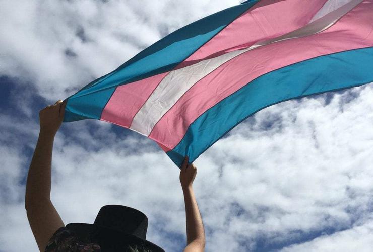 Bandeira trans / arquivo