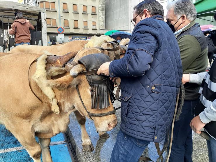 Membros do colectivo 'Agromuralla' de Lugo 