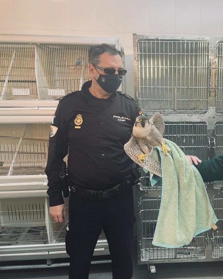 Un axente toma o animal rescatado. POLICÍA AUTONÓMICA / Europa Press