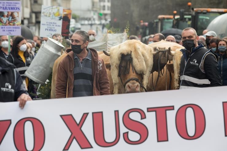 Dous gandeiros coas súas vacas, durante unha tractorada convocada por Agromuralla en Lugo para esixir mellor prezo do leite, a 4 de novembro de 2021, en Lugo, Galicia (España). A tractorada na que participaron 1.000 persoas e 22 tractores, foi. Carlos Castro - Europa Press / Europa Press