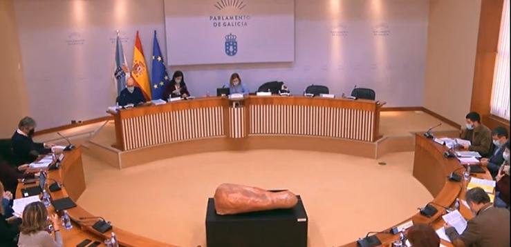Sesión de debate dos orzamentos galego na comisión de Economía. CAPTURA / Europa Press