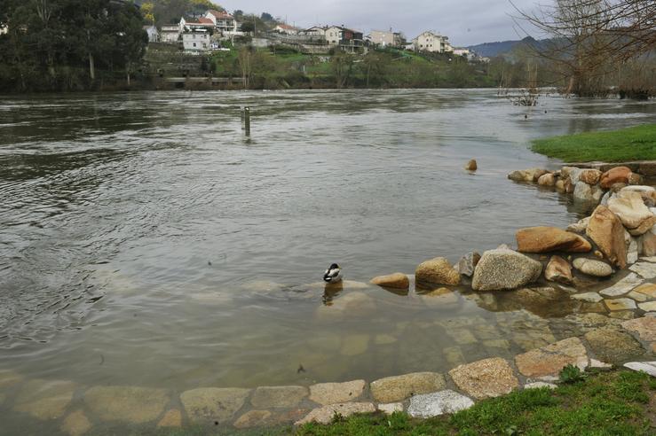 Zona termal da Chavasqueira alagada polo río Miño en Ourense, a 11 de febreiro de 2021. ROSA VEIGA - EUROPA PRESS