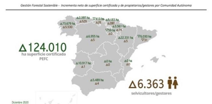 Rural.- O 60% da superficie incorporada á certificación forestal PEFC en 2020 en España corresponde a Galicia. PEFC 