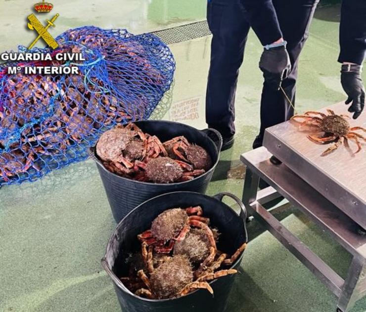 A Garda Civil intercepta 52 quilos de marisco indocumentado en Nigrán (Pontevedra).. GARDA CIVIL