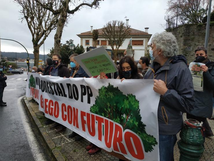 Protesta en contra do plan forestal enfronte do Parlamento 