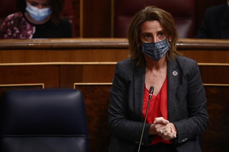 A vicepresidenta cuarta e ministra para a Transición Ecolóxica e o Reto Demográfico, Teresa Ribeira, intervén durante unha sesión de Control ao Goberno no Congreso dos Deputados, en Madrid, (España), a 24 de febreiro de 2021. O pleno estará marc. EUROPA PRESS