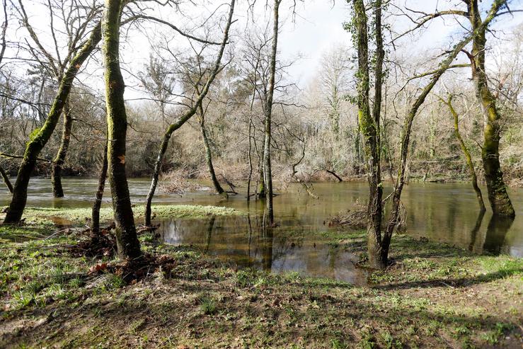 O río Tea desbordado tras as últimas choivas ao seu paso pola zona do paseo da Moscadeira en Ponteareas, Pontevedra, Galicia (España), a 3 de febreiro de 2021. Marta Vázquez Rodríguez - Europa Press / Europa Press