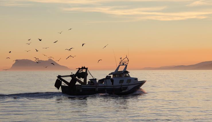 Arquivo - Barco de pesca da frota andaluza. XUNTA ANDALUCÍA - Arquivo