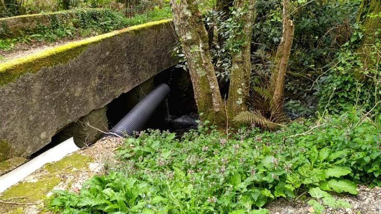 Vertedura de augas residuais no Pino. ECOLOXISTAS EN ACCIÓN 