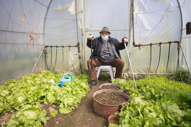 Arquivo - Ramiro descansa xunto ao invernadoiro onde cultiva leitugas, tras traballar e coidar do seu invernadoiro de Francelos, Castroverde, en Lugo, Galicia (España), a 24 de marzo de 2021. O sector primario foi fundamental durante a pandemia. Agricu. Carlos Castro - Europa Press - Arquivo 