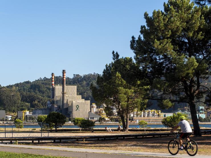 Biofábrica de Ence en Pontevedra 