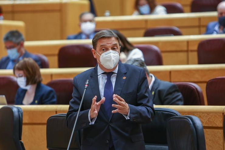 O ministro de Agricultura, Pesca e Alimentación, Luís Planas, intervén nunha sesión de control ao Goberno, a 8 de xuño de 2021, no Senado, Madrid, (España). A sesión, marcada pola ausencia do presidente do Goberno debido á súa viaxe oficial. EUROPA PRESS/R.Rubio.POOL - Europa Press / Europa Press