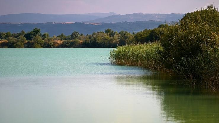 Restos da Lagoa de Antela, na Limia