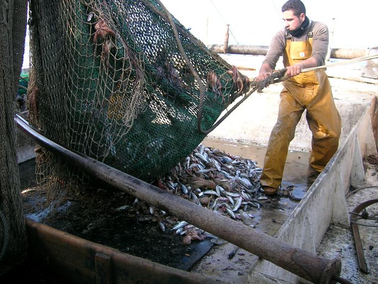 Pesca de arrastre / Europa Press.