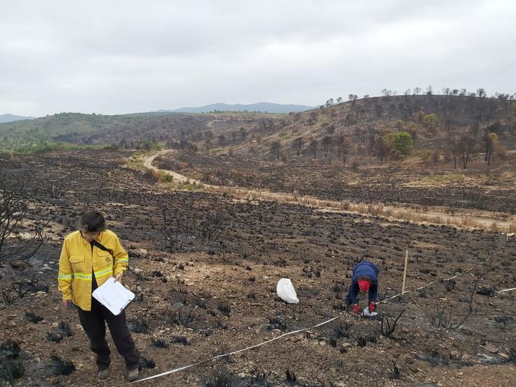 Incendio na provincia de Albacete. XUNTA 
