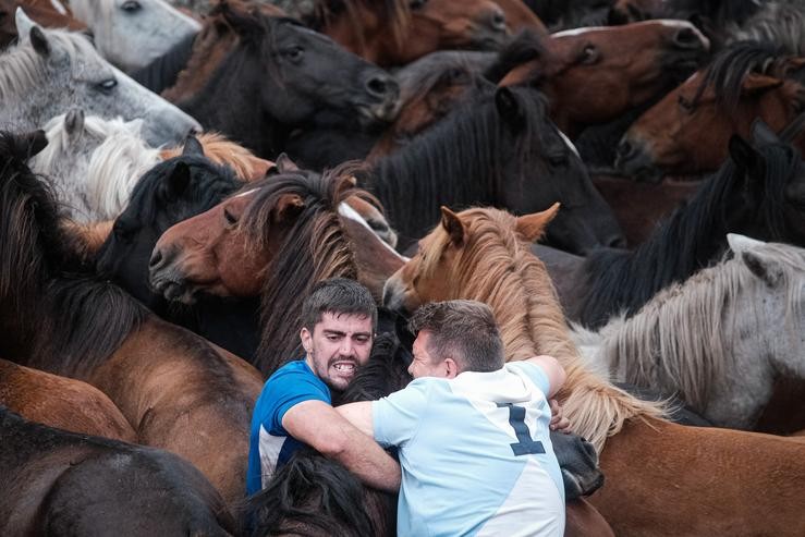 Cabalos e ?aloitadores? nas festas de Rápaa dás Bestas de Saucedo. César Arxina - Europa Press / Europa Press