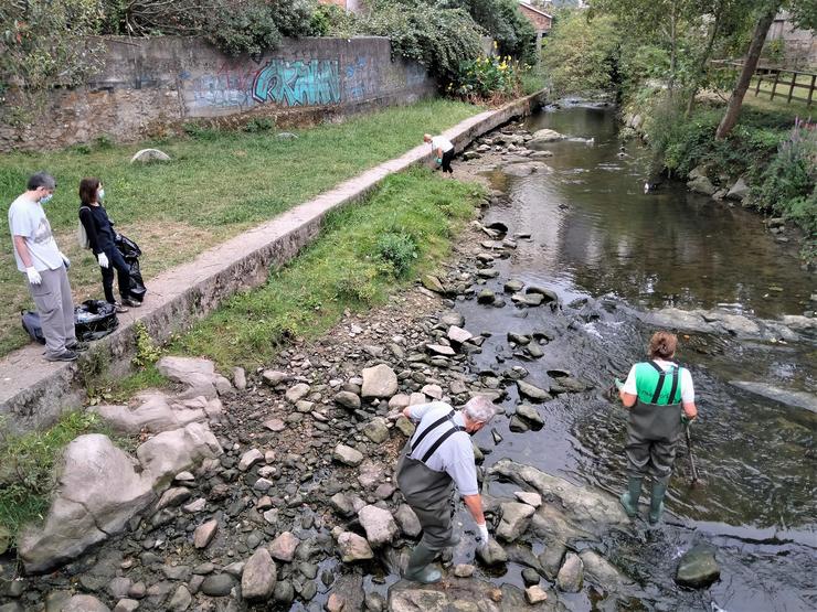 A 21 campaña de Vaipolorío culmina coa retirada de 655 quilos de residuos do río Gafos en Pontevedra 