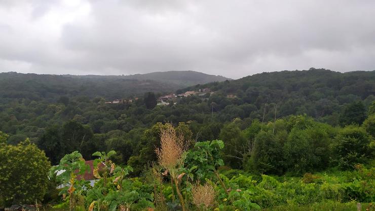 O Monte da Neve, ao fondo, desde a parroquia de Amoroce en Celanova - cedida