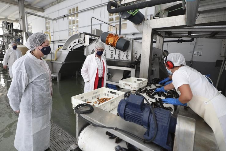 Visita da conselleira do Mar, Rosa Quintana, á empresa Conservas Cambados de Ribadumia (Pontevedra).. XUNTA DE GALICIA