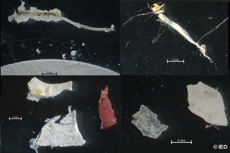 Microplásticos recolleitos en augas da ría de Vigo por investigadores do Instituto Español de Oceanografía (IEO).. CENTRO OCEANOGRÁFICO DE VIGO (IEO) / Europa Press