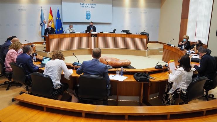 Comisión do Parlamento galego. PARLAMENTO DE GALICIA