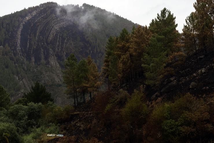 O Plegamiento de Campodola, a 9 de setembro de 2021, en Quiroga, Lugo, Galicia (España). O incendio declarado na parroquia de Ribas de Sil do municipio homónimo foi dado por controlado ás 21.00 horas deste mércores. Rosa Veiga - Europa Press 
