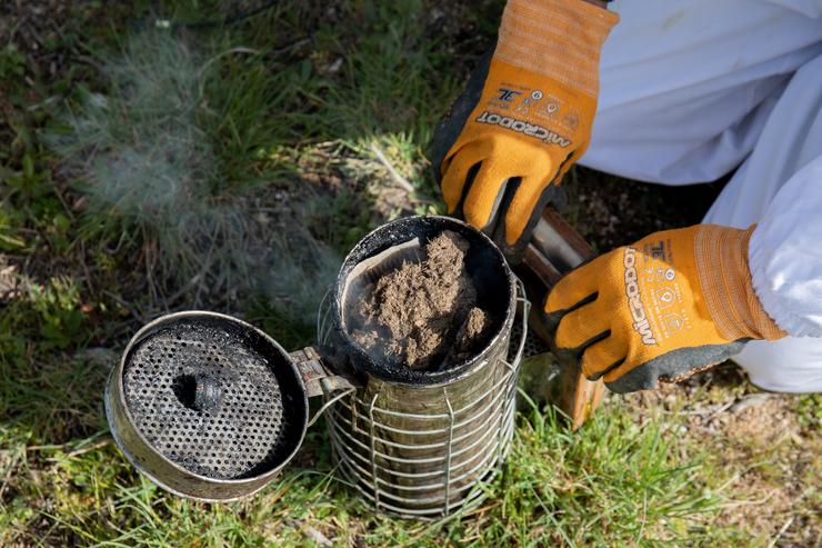 Un traballador co fume amansador con Cantueso para relaxar ás abellas nunha colmear