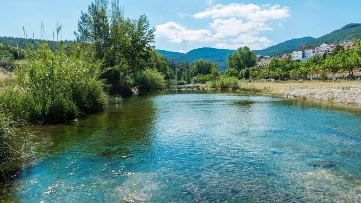 Augas claras dun río 