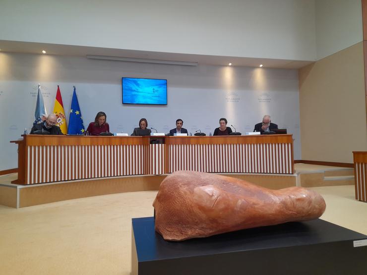 A presidenta do Consello da Cultura Galega, Rosario Álvarez, na comisión parlamentaria de Orzamentos. CCG / Europa Press