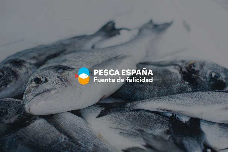 Pesca España. PESCA ESPAÑA 