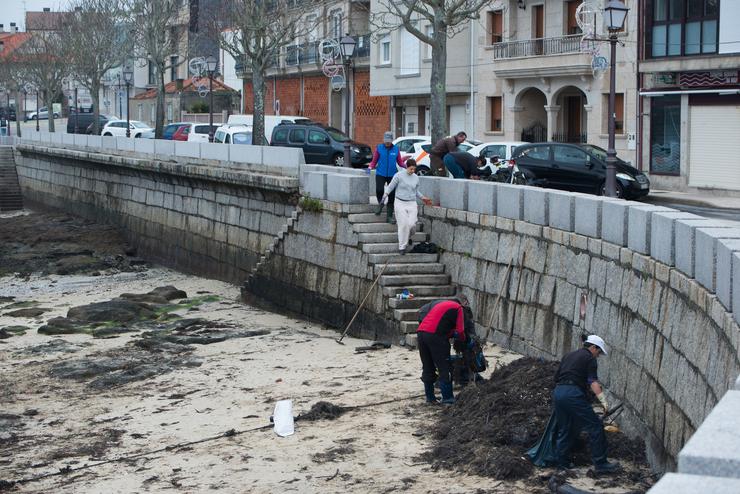 Voluntarios e axentes rurais da zona recollen os restos de chapapote mesturados con algas, a 13 de decembro de 2022, na Illa de Arousa / Gustavo da Paz