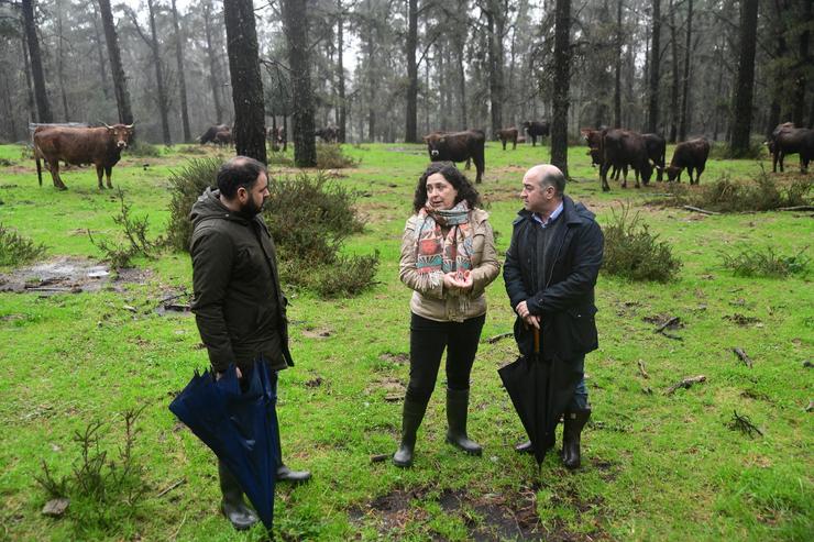 A directora xeral de Patrimonio Natural, Belén do Campo.. XUNTA / Europa Press