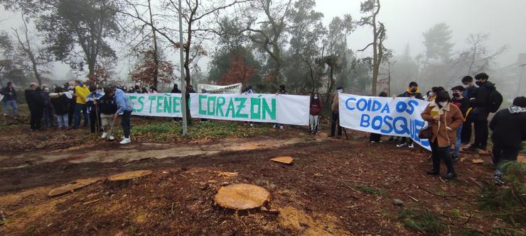 Protesta pola corta das árbores da Universidade de Ourense/ Amigas das Árbores