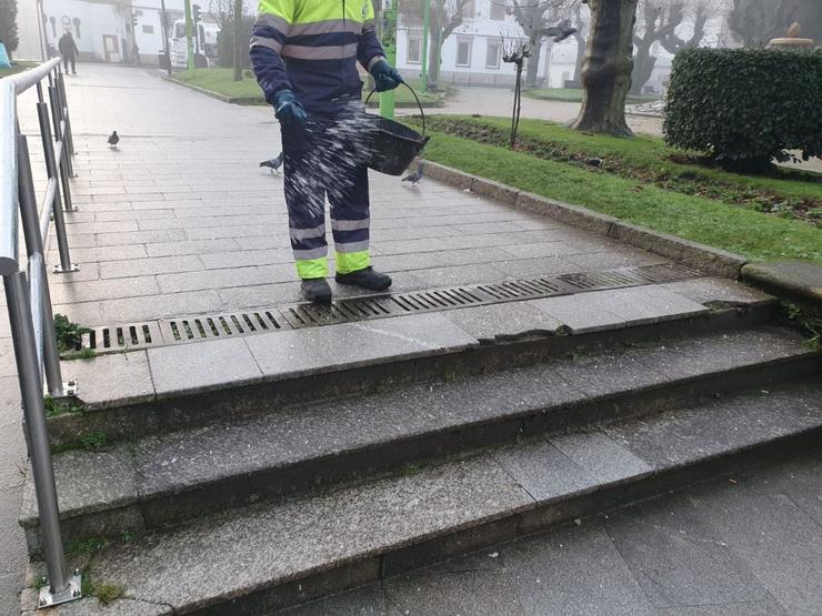 Un operario bota sal en Lugo debido á xeada por baixas temperaturas.. POLICÍA LOCAL DE LUGO / Europa Press