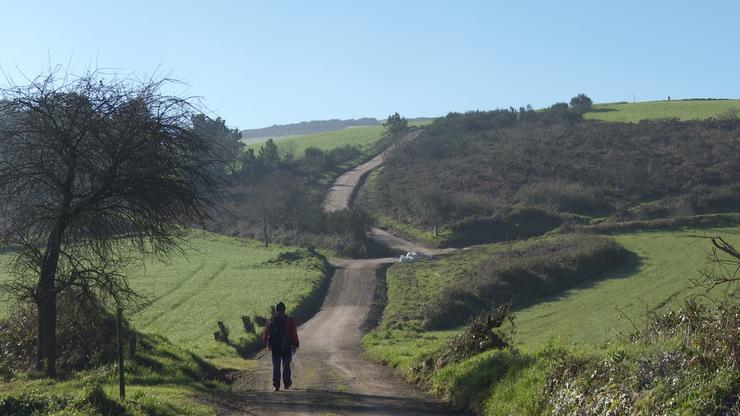 Un peregrino que realiza o Camiño de Santiago no mes de xaneiro de 2022 avanza por un camiño entre Negreira e Fisterra, última parada para moitos camiñantes 