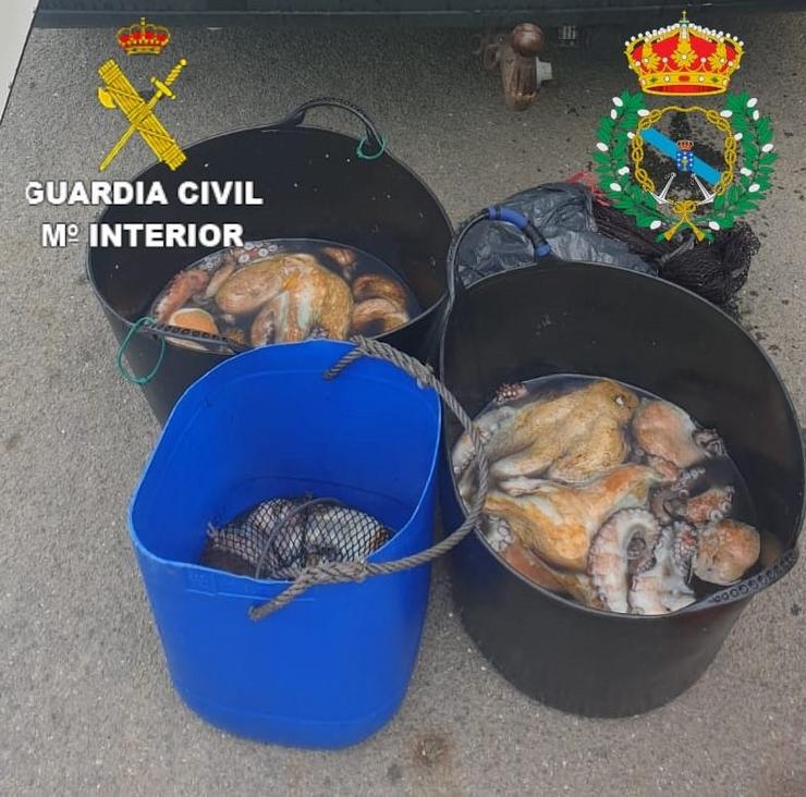 Case 100 quilos de polbo incautados en Camariñas (A Coruña). GARDA CIVIL / Europa Press