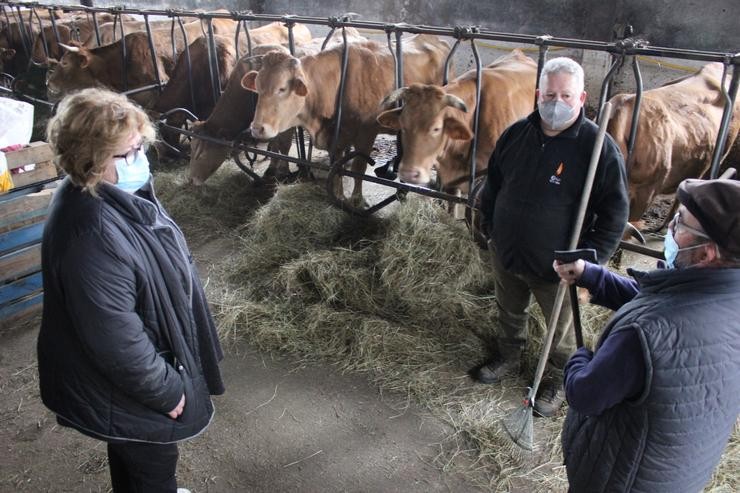 A deputada nacionalista, Carme Aira, visita unha explotación gandeira de vacún no Corgo. BNG / Europa Press