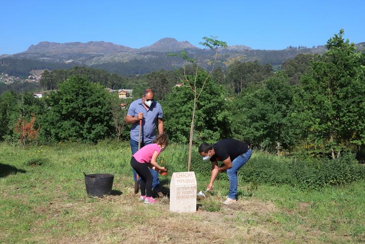 Bosque das Memorias, nos montes de Couso.