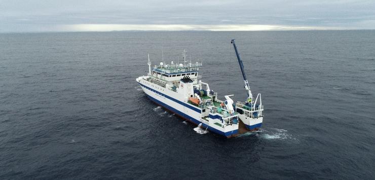 O Instituto Español de Oceanografía avalía o tamaño das poboacións de caballa e xurelo no Atlántico nororiental 