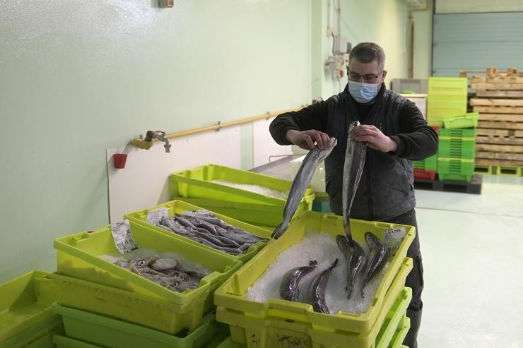 Un traballador manexa peixe en caixas de plástico, na lonxa da Coruña 