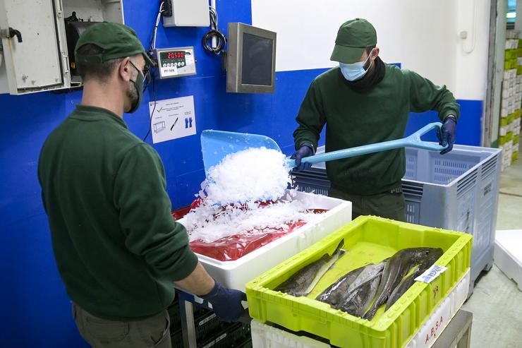 Dous traballadores manexan pescado en caixas de plástico, na lonxa da Coruña, a 18 de marzo de 2022, na Coruña, Galicia (España). O peixe da lonxa non se está distribuíndo pola folga de transportes e podería traer problemas de salubridade xa qu. M. Dylan - Europa Press / Europa Press
