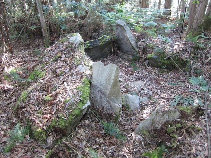 Dolmen de Chan das Embarradas, Coristanco / Megaliticia