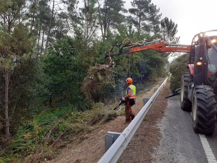 Roza de marxes de estradas, limpeza de biomasa / Xunta de Galicia