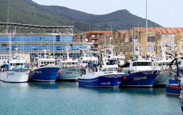 Barcos amarrados en porto /  Juan Manuel Serrano Arce - Europa Press - Arquivo